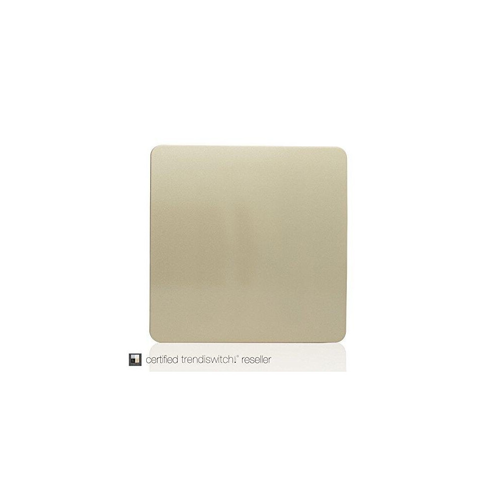 Trendi Artistic Modern Glossy Tactile Single Blanking Plate Gold ART-BLKGO