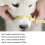 (Muzzle XL) Dog Safety Muzzle Mesh Soft Muzzel Adjustable Biting Barking Chewing 2