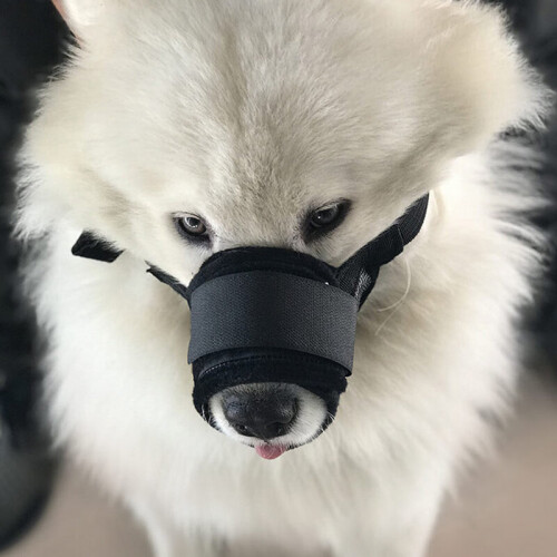 (Muzzle S) Dog Safety Muzzle Mesh Soft Muzzel Adjustable Biting Barking Chewing 2