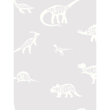 Over the Rainbow Dino Dictionary Wallpaper Grey Holden 90900