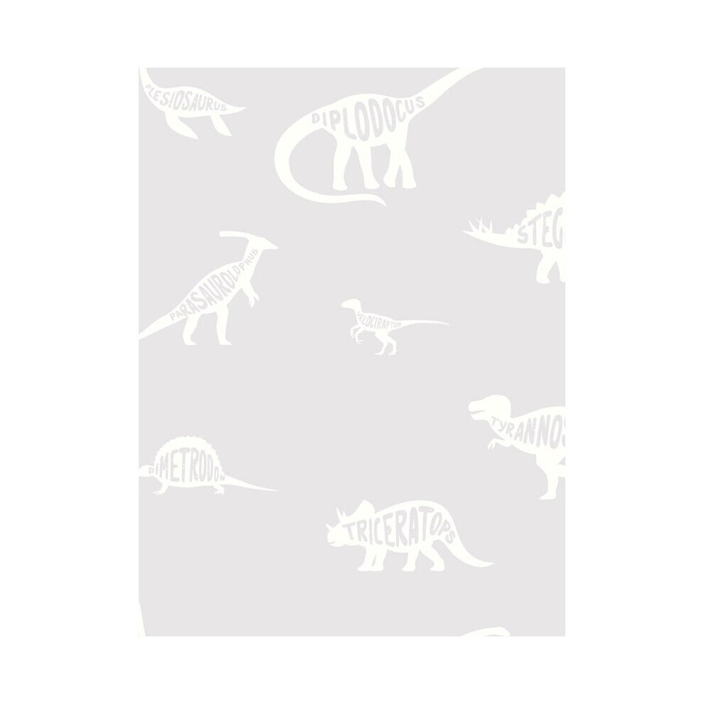 Over the Rainbow Dino Dictionary Wallpaper Grey Holden 90900