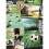 Fine Decor Football Collage Wallpaper Fine Decor FD41915 1