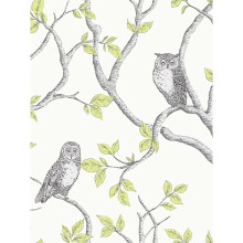 Woodland Owls Wallpaper Fine Decor