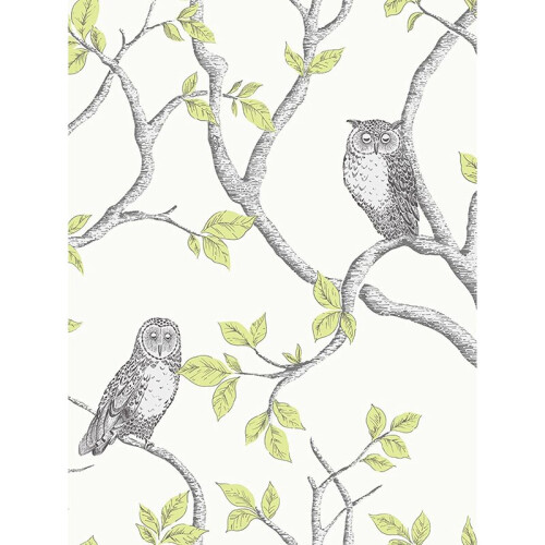 Fine Decor Woodland Owls Wallpaper Fine Decor