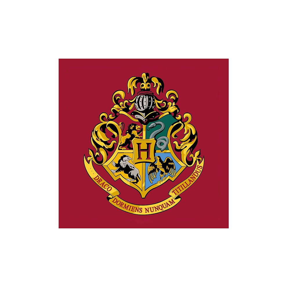 Harry Potter Emblem Square Rug-image-OPC-P698P88-NEW