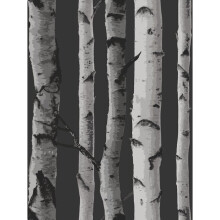 Birch Trees Wallpaper Fine Decor