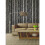 Fine Decor Birch Trees Wallpaper Fine Decor 2