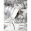 Arthouse Safari Elephant Wallpaper Charcoal Arthouse 296700 3