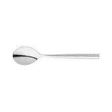 Stellar Rochester Polished Tea Spoon