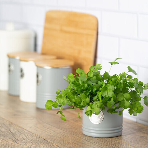 Typhoon Typhoon Living Herb Planter Grey 2