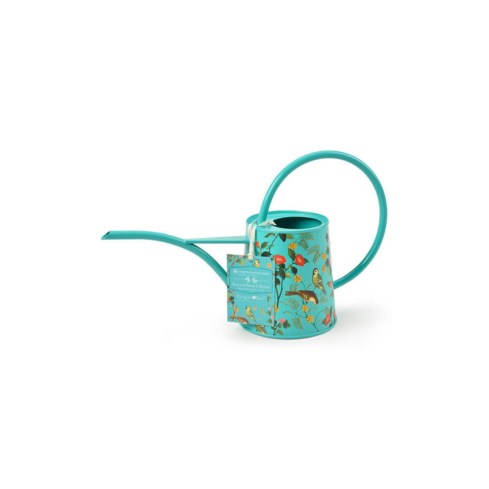 RHS Flora & Fauna Indoor Watering Can