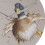 Wrendale Wrendale Duck Clock 3