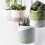 Burgon & Ball Dip Hanging Pot 3