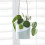 Burgon & Ball Dip Hanging Pot 4