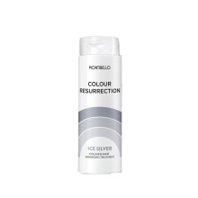 Montibello Colour Resurrection Ice Silver 150ml - Silver Color Restoration & Care