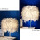 (White ) Feather Table Lamp Elegant Bedside Desk Night Light White Lampshade Table Light 3