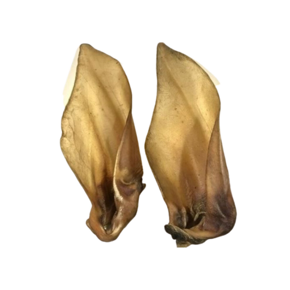 Express Pet Supplies (25) Buffalo Ears Extra Large Xl With Meat 100% Natural Air Dried Dog Treat Chew
