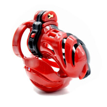 Chastity Cock and Scrotum Cage