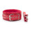 Collar and Lead - Red 1