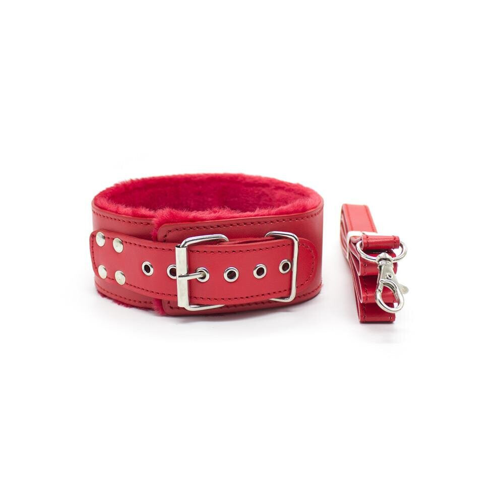 The Room Of Doom Red Collar And Lead