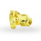 Gold Chastity Cage 1