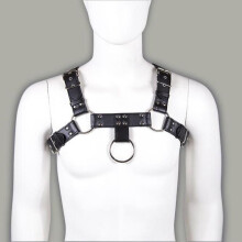 Chest Harness and Ring