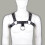 Chest Harness and Ring 1