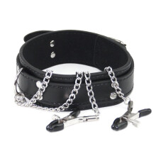 Leather Collar and Nipple Clamps
