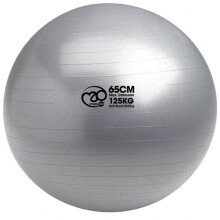Fitness Mad 125kg Swiss Ball & Pump - 65cm Silver