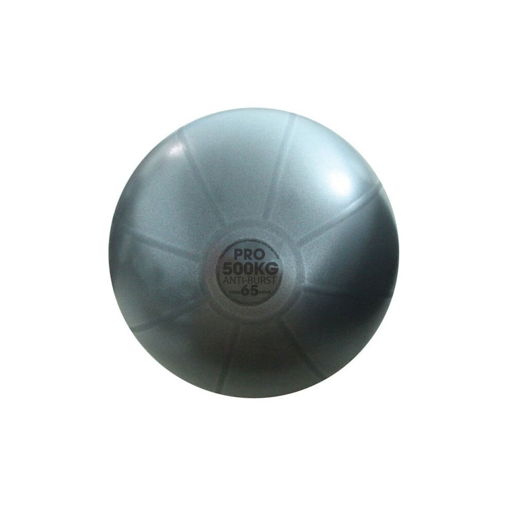 Fitness Mad Studio Pro Grey Equipment Gym Ball Exercise Ball 500kg Swiss Ball Only 65cm