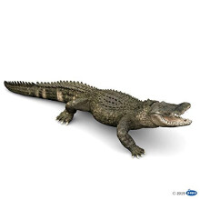 Papo -h?ndsmalet - figur -Wild Animal Kingdom - Alligator -50254 -Collectible - For b?rn - Velegnet til drenge og piger - fra 3 ?r gammel