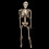 Giant Life Size Poseable Human Halloween Skeleton Party Decoration 7