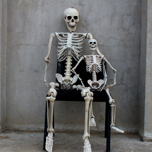 Giant Life Size Poseable Human Halloween Skeleton Party Decoration 1
