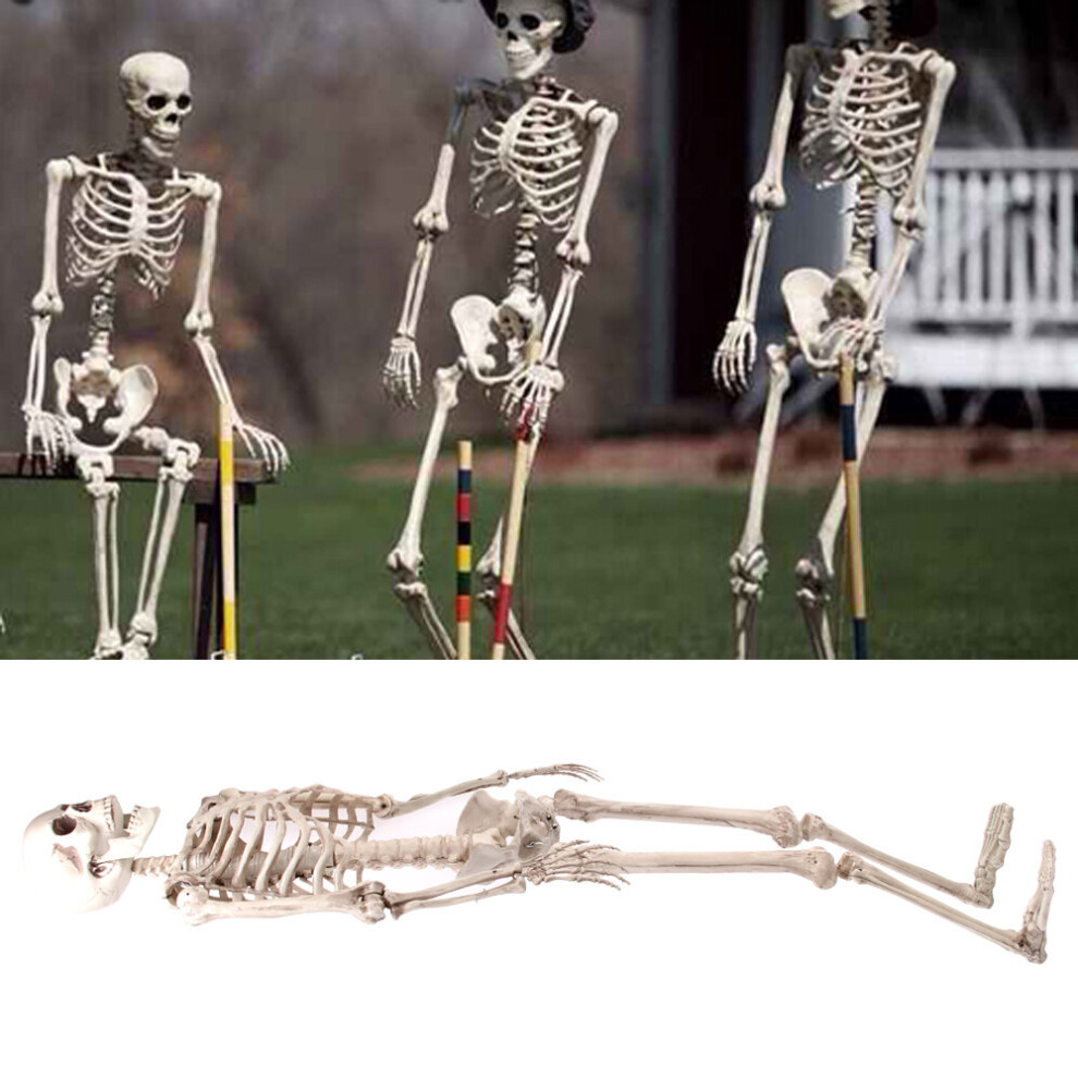 Giant Life Size Poseable Human Halloween Skeleton Party Decoration
