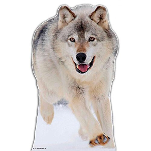 Star Cutouts Cut Out of Wolf