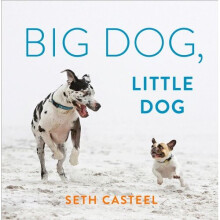 Big Dog, Little Dog - Book