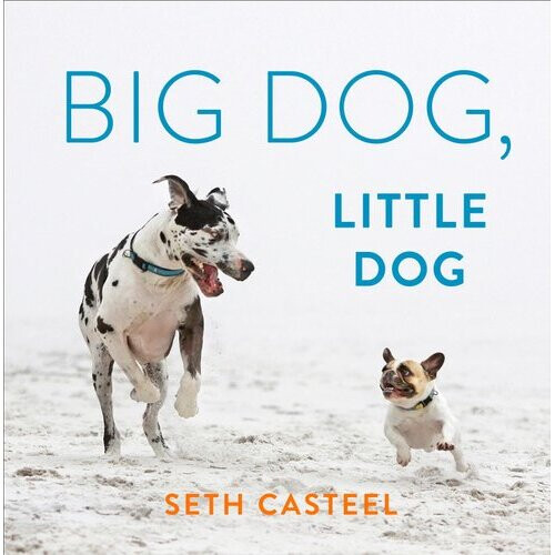 Big Dog, Little Dog - Book