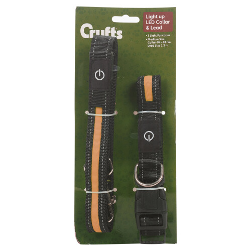 (Orange, M) LED Dog Collar | And Lead Set
