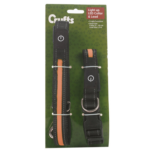 (Orange, S) LED Dog Collar | And Lead Set