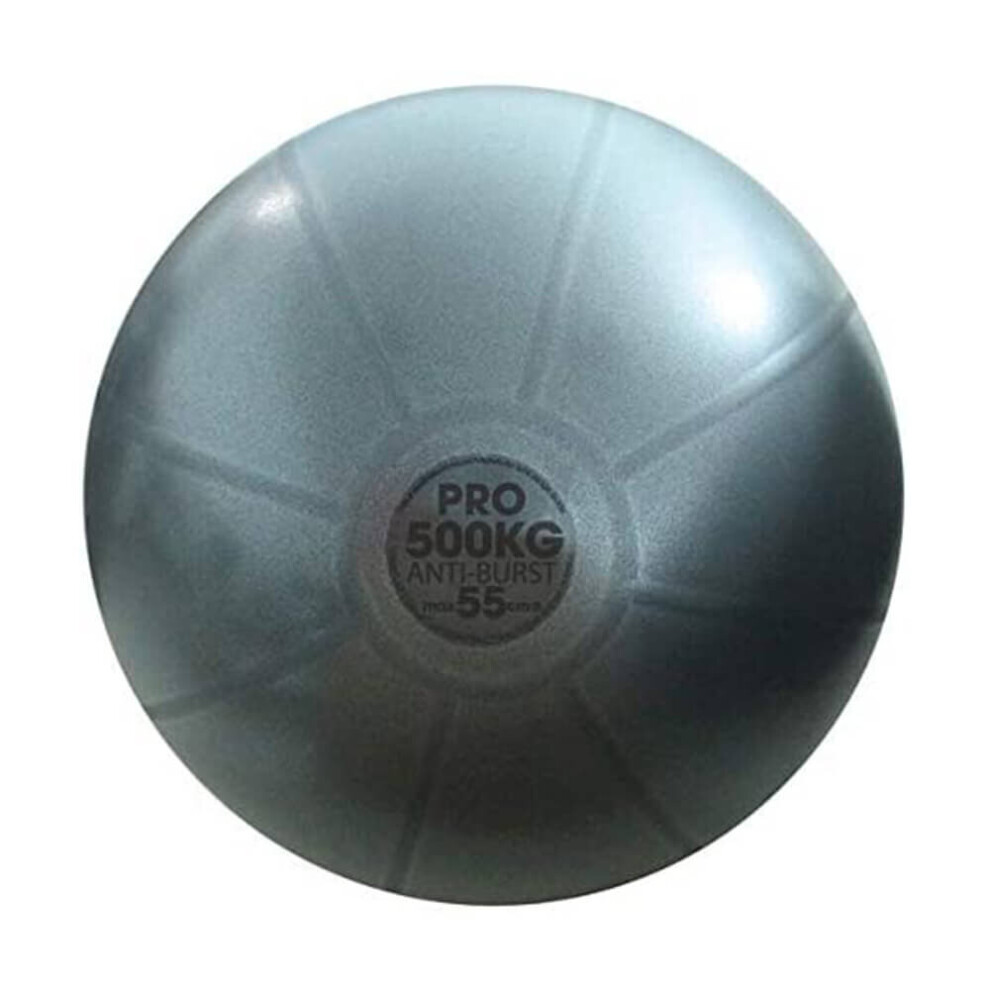 Fitness Mad Studio Pro 500kg Swiss Ball 55cm Anti Burst Exercise Ball Grey Ball Only