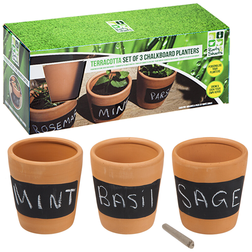 Indoor/Outdoor | 3pcs Herb Plant Planter