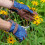 (Small/Medium) Love the Glove - Oak Leaf Navy 1