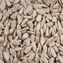 Maltbys' Stores 1904 Limited 10kg PREMIUM SUNFLOWER HEARTS WILD BIRD FOOD