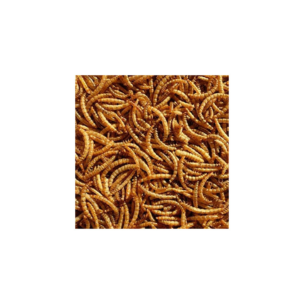 Premium Dried Mealworms, 5 Litre