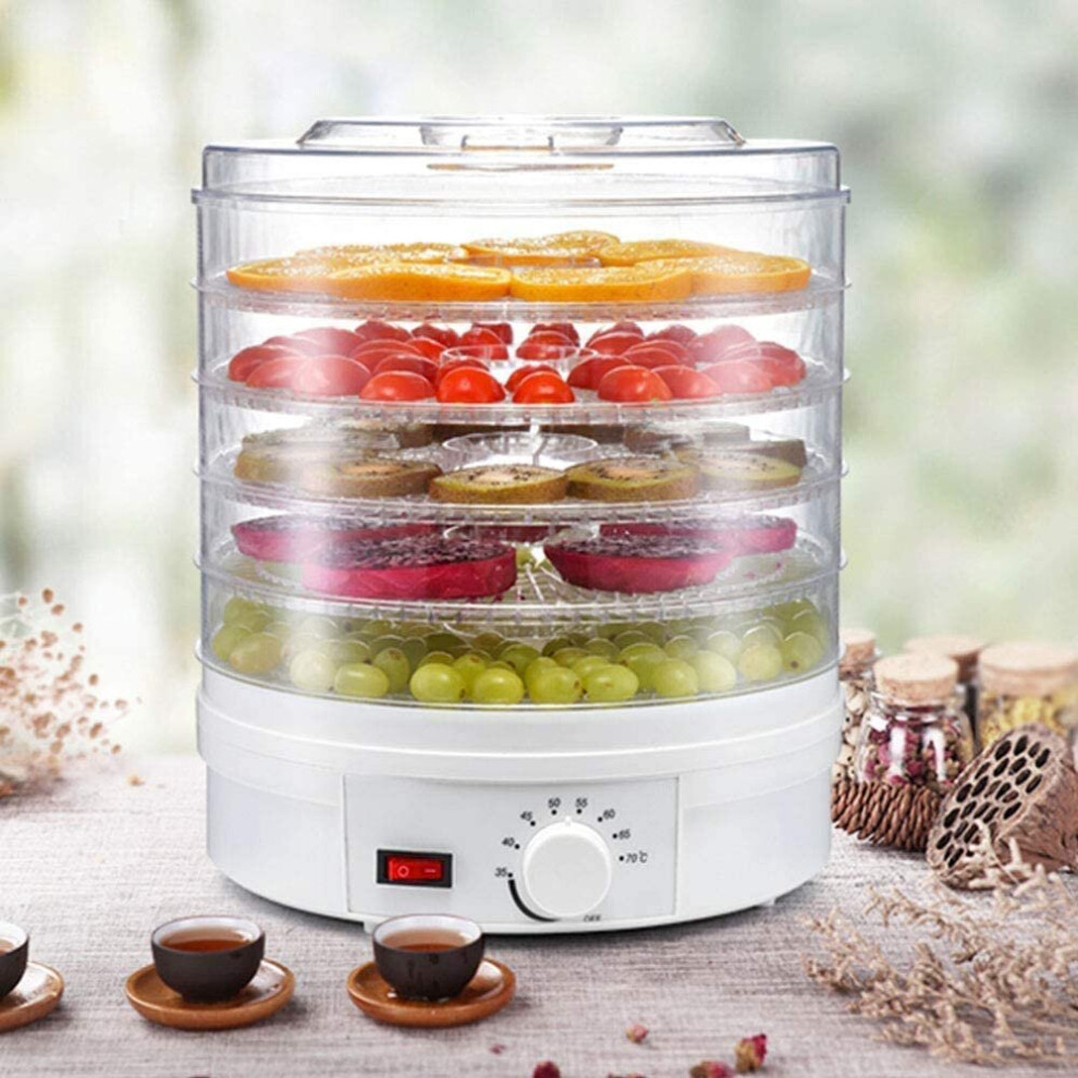 Electric Food Dehydrator, 5 Removable Trays,  Adjustable Temperature