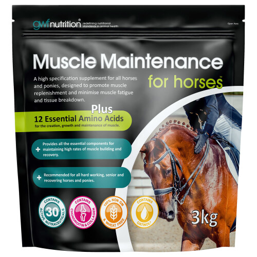 GWF Horse Muscle Maintenance Supplement