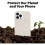 Incipio (Cream, iPhone 12 Mini) Incipio Organicore Case for Apple iPhone 12 Series 2