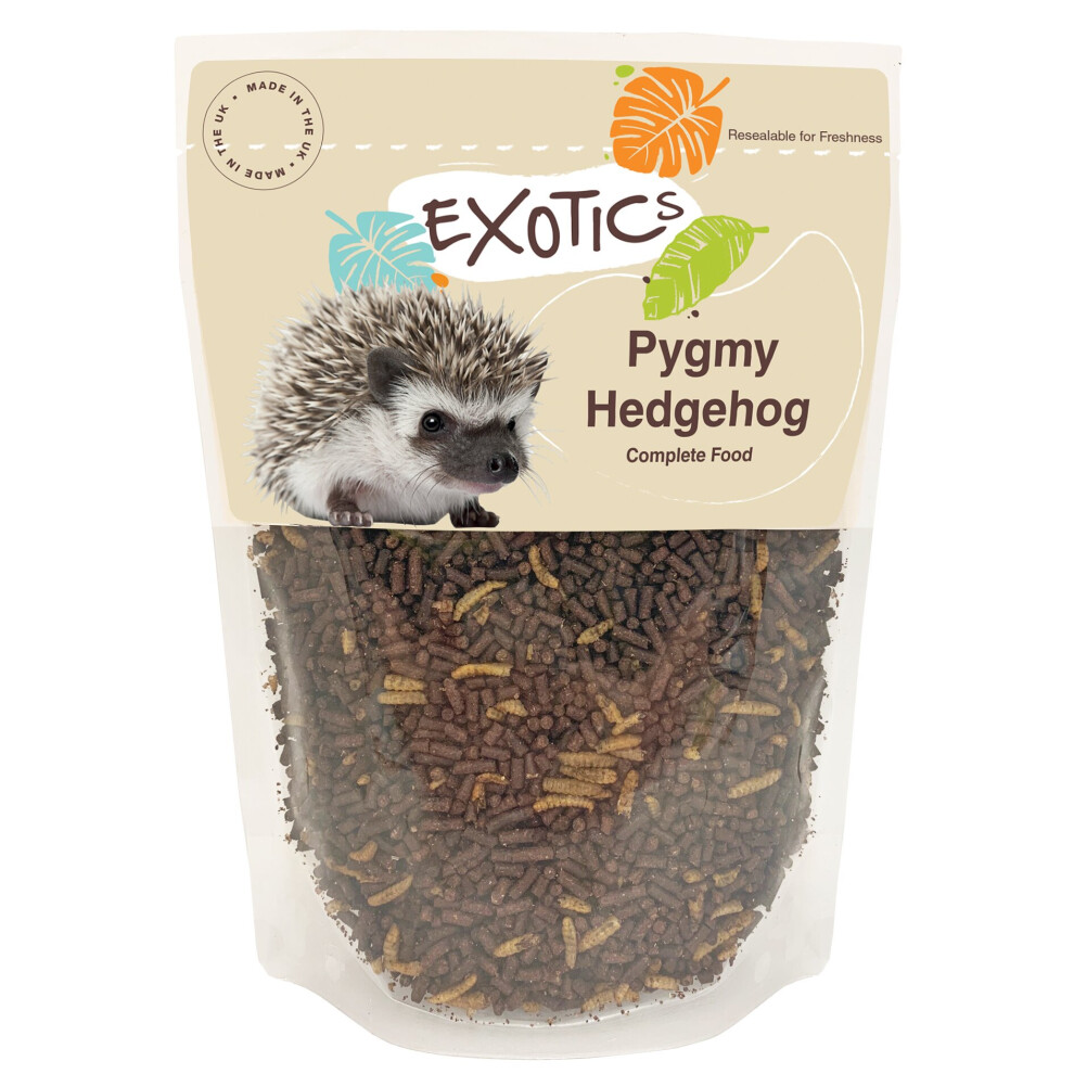 (600g) Exotics Pygmy Hedgehog Complete