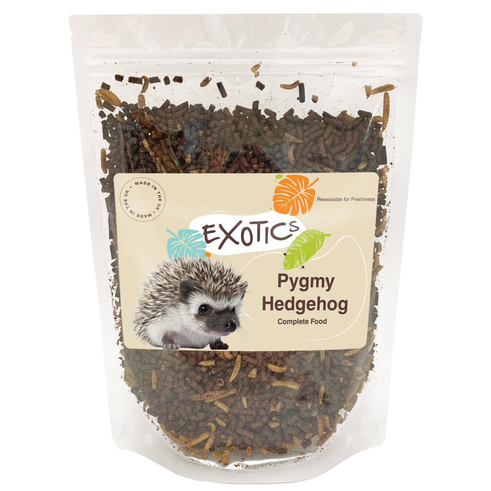 (1.5kg) Exotics Pygmy Hedgehog Complete