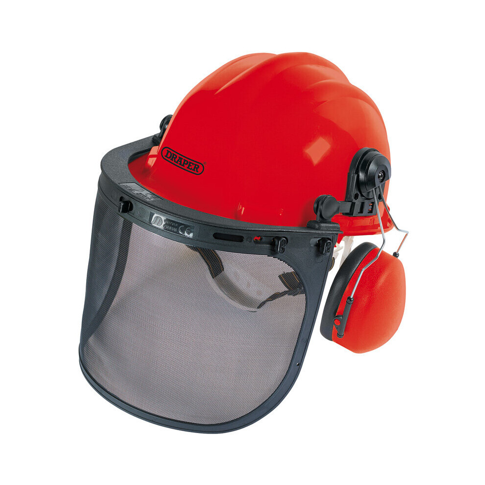 Forestry Helmet